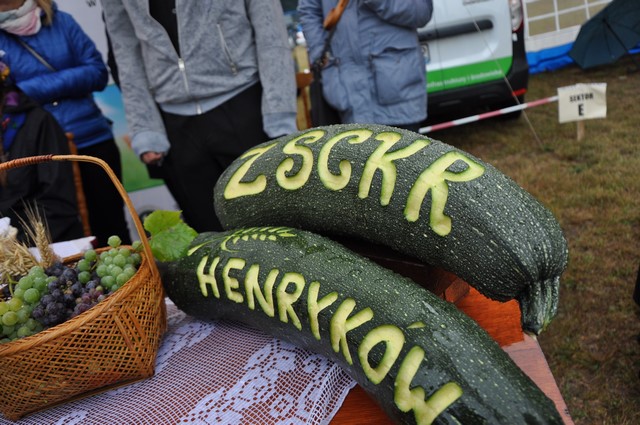 Dożynki Gminne 2015 ZSCKR Henryków